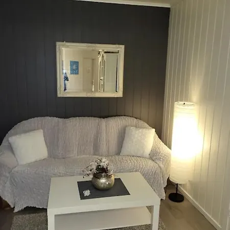 Koselig I Sentrum 5 Soveplasser Gratis Parkering Og Gratis Internett *