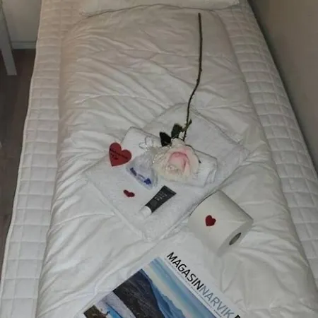 Hostel Koselig I Sentrum 5 Soveplasser Gratis Parkering Og Gratis Internett